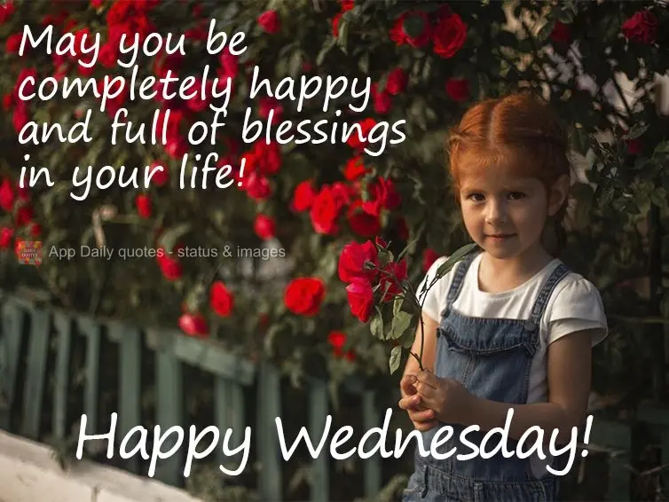 May you be completely happy and full of blessings in your life! Happy Wednesday!
