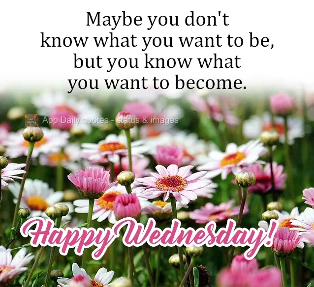 Maybe you don't know what you want to be, but you know what you want to become. Happy Wednesday!