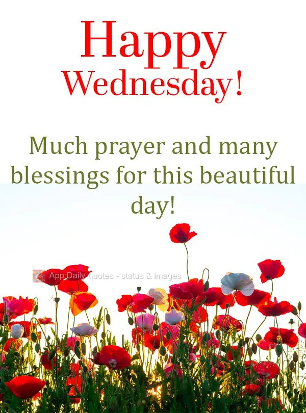 Much prayer and many blessings for this beautiful day! Happy Wednesday!