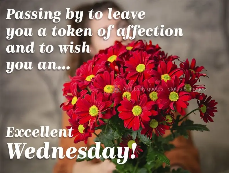 Passing by to leave you a token of affection and to wish you an... Excellent Wednesday!