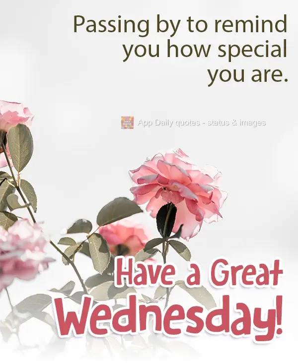 Passing by to remind you how special you are. Have a Great Wednesday!