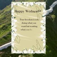 True freedom is not doing what you want but wanting what you do. It's finding satisfaction and meaning in the small everyday things. Happy Wednesday!