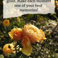 Be intense when you are in the company of people that make you feel good. Make each moment one of your best memories! Happy weekend!
