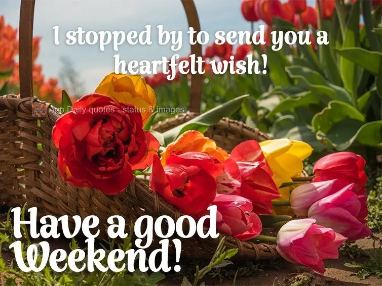 I stopped by to send you a heartfelt wish! Have a good Weekend!