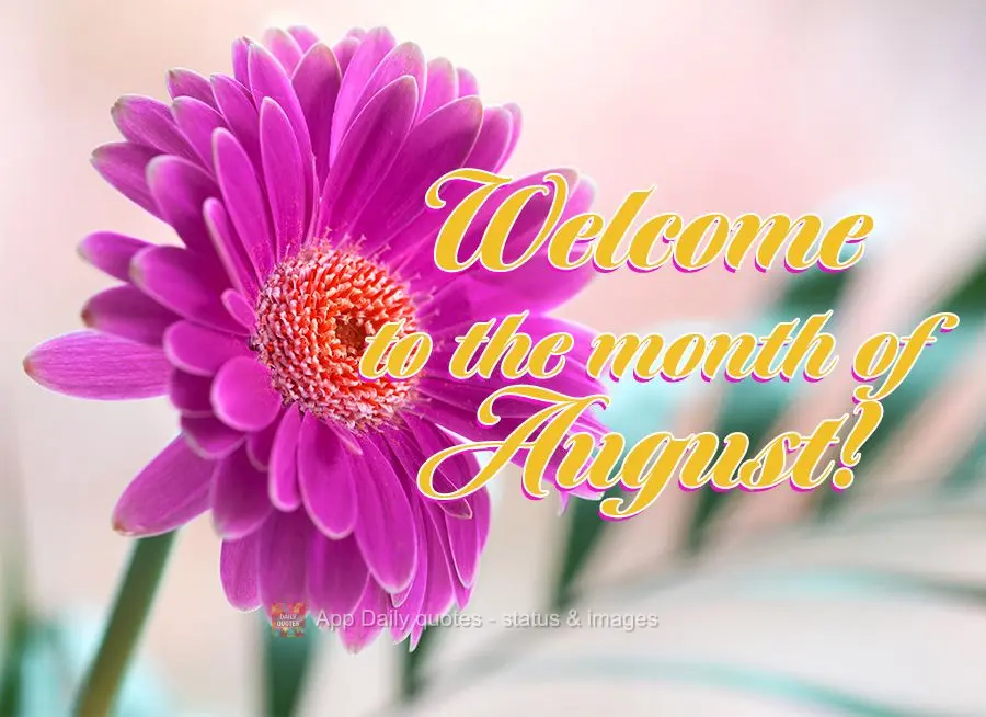 Welcome to the month of August!