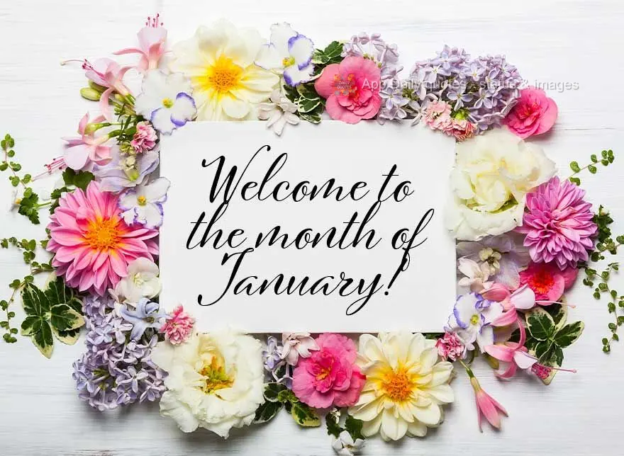 Welcome to the month of January!