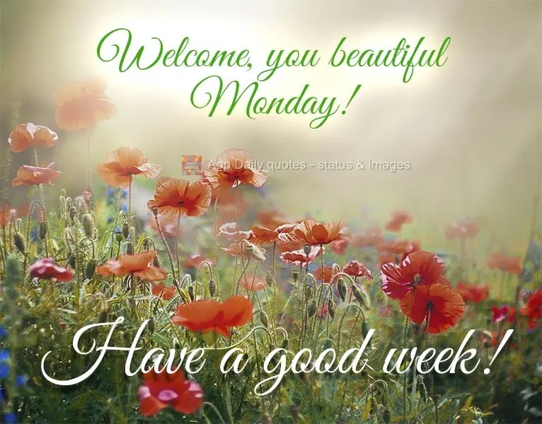 Welcome, you beautiful Monday! Have a good week!