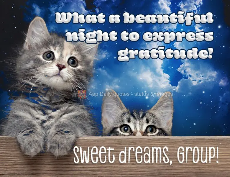 What a beautiful night to express gratitude! Sweet dreams, Group!