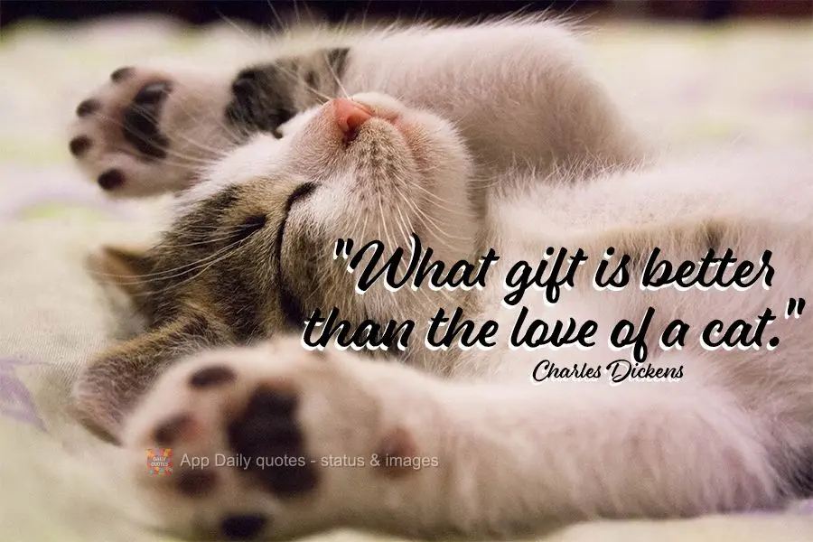 "What gift is better than the love of a cat." Charles Dickens