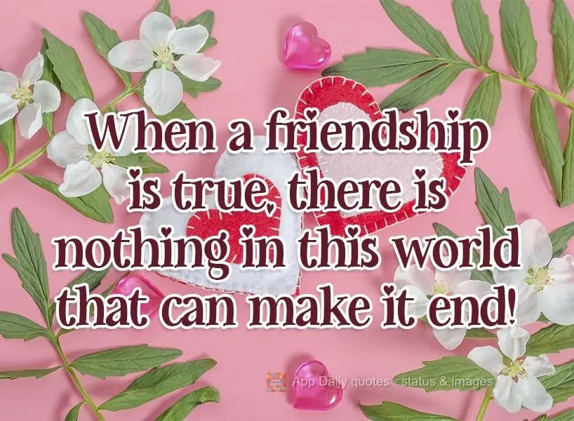 When a friendship is true, there is nothing in this world that can make it end! 