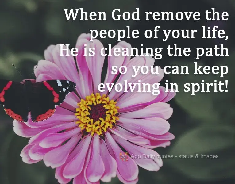 When God removes people from your life, He is clearing the path so you can keep evolving in spirit!