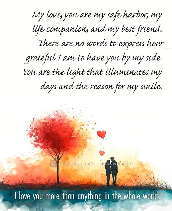My love, you are my safe harbor, my life companion, and my best friend. There are no words to express how grateful I am to have you by my side. You are t...