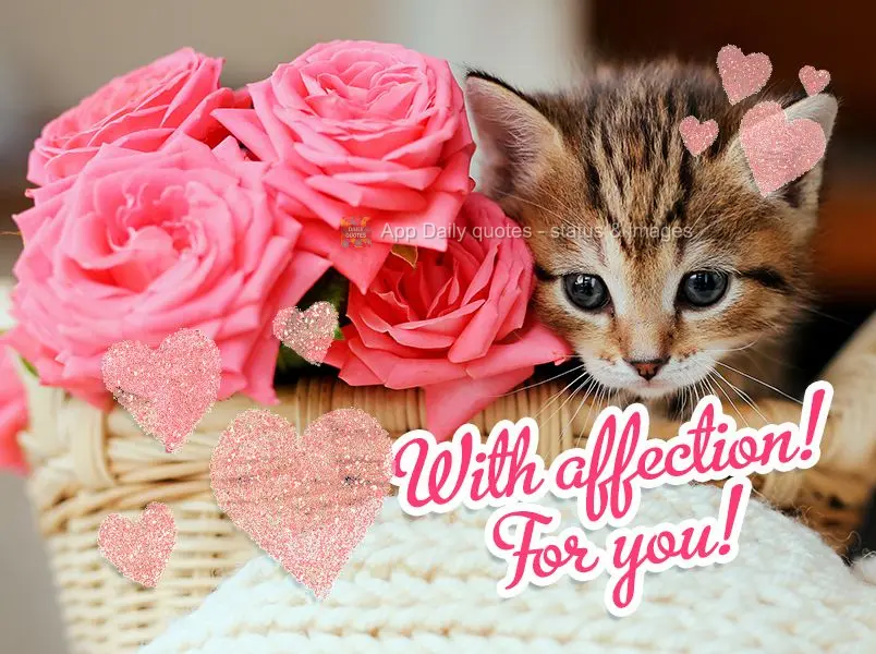With affection! For you!