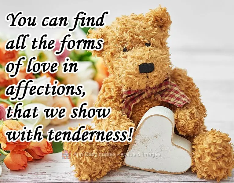 You can find all the forms of love in affection that we show with tenderness!