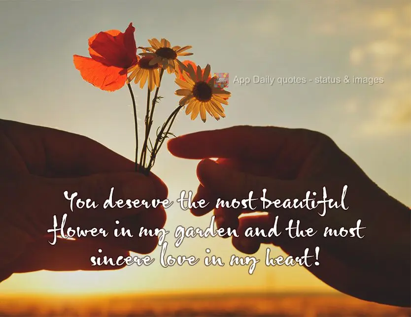You deserve the most beautiful flower in my garden and the most sincere love in my heart!