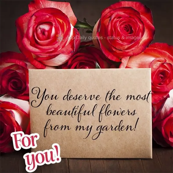 You deserve the most beautiful flowers from my garden! For you!