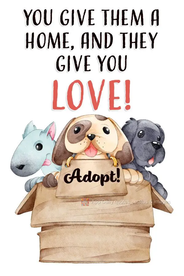 You give them a home, and they give you love! Adopt!