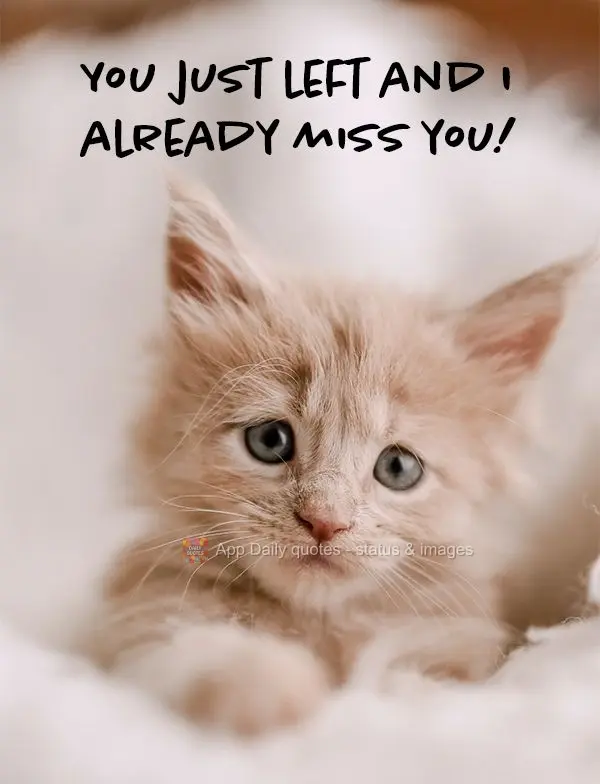 You just left, and I already miss you!