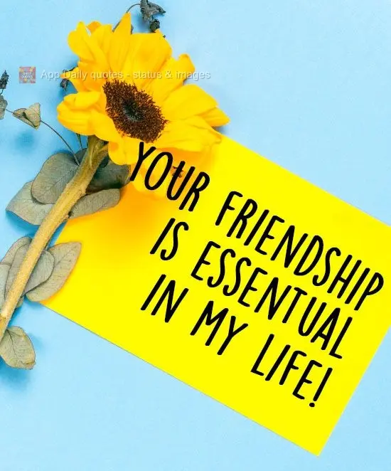 Your friendship is essential in my life!
