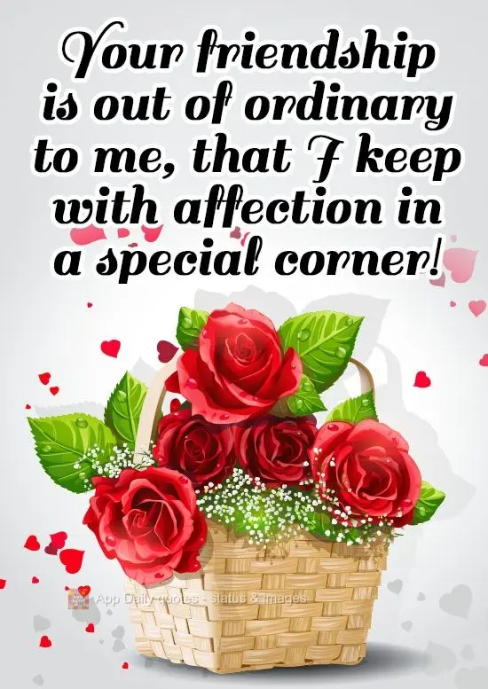 Your friendship is out of the ordinary to me, and I store it with tenderness in a special corner of my heart!